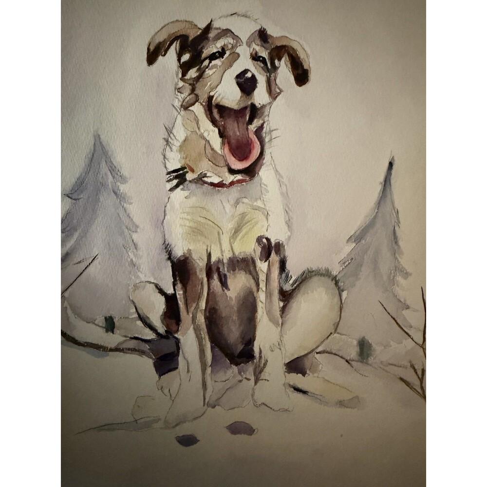 Original Watercolor Dog Painting Art Pet Portrait Artwork 15 X 11 Border Collie